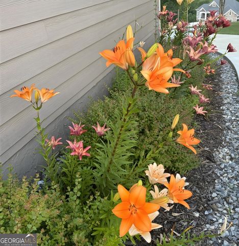 335 Northshore Drive, Blairsville, GA 30512