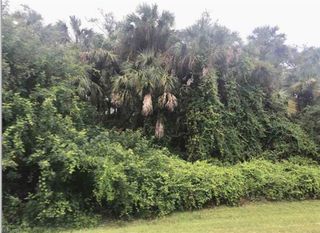 XXX 14th AVE NW, Naples, FL 34120