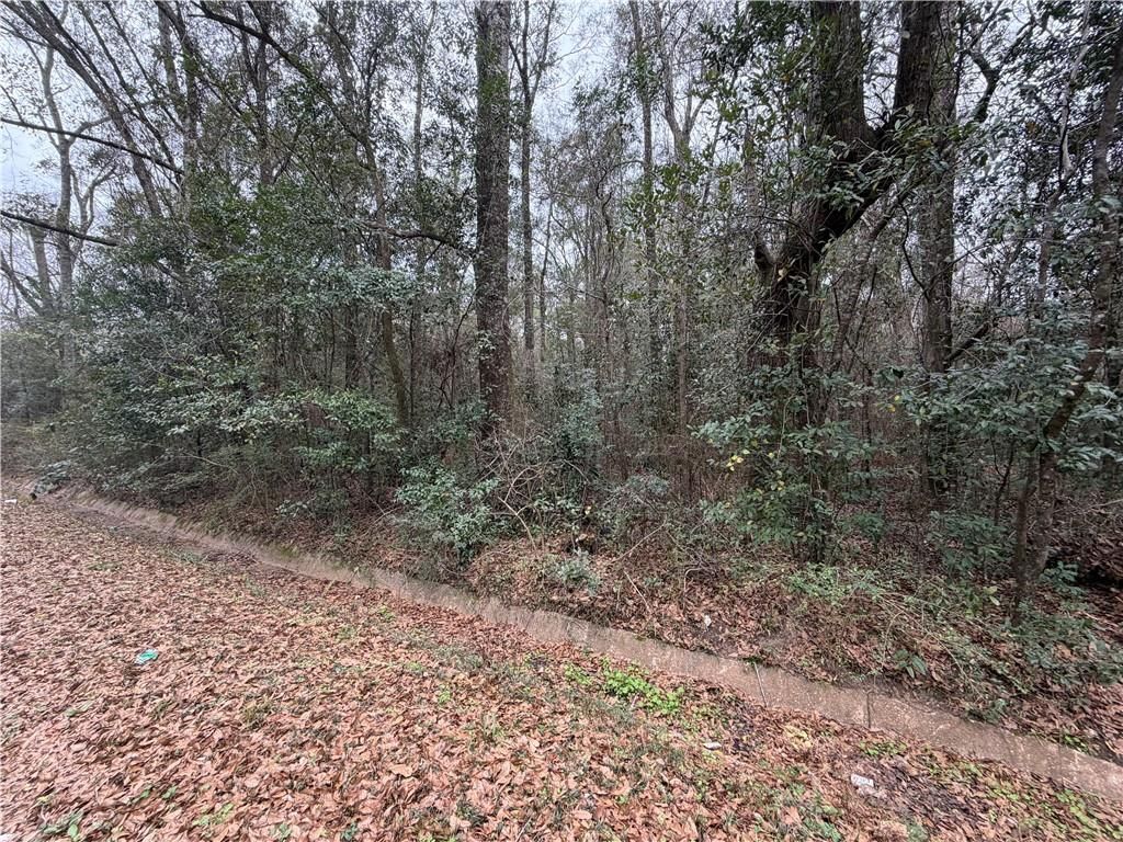 0 Carol Street, Mobile, AL 36608 — photo 2