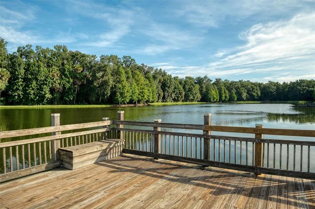 920 PAWSTAND ROAD, Celebration, FL 34747