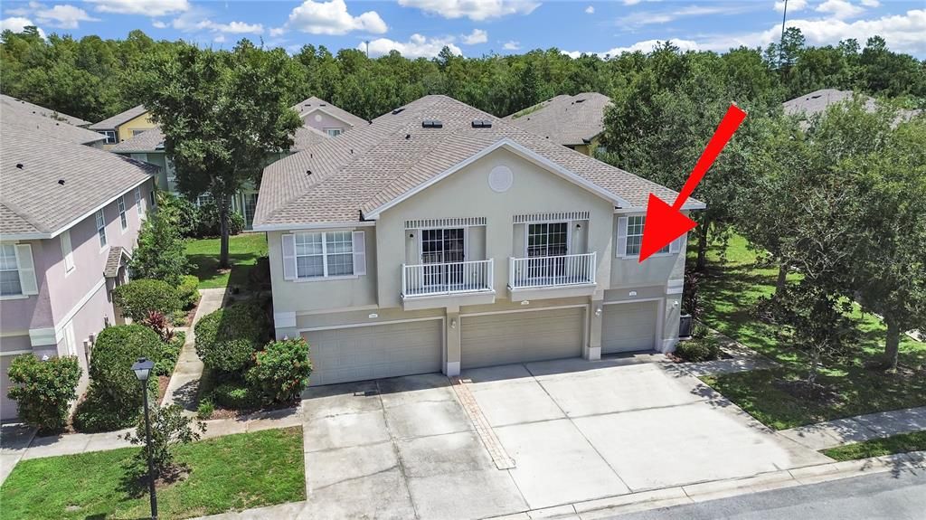 5202 BLUE ROAN WAY, Wesley Chapel, FL 33544