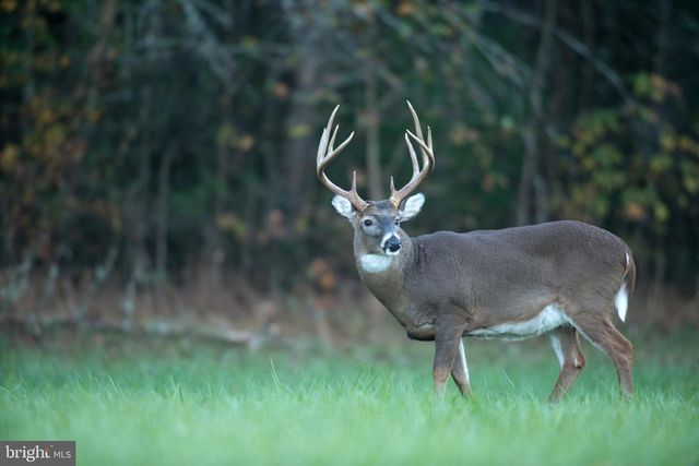 29031 HOWELL POINT RD, Trappe, MD 21673