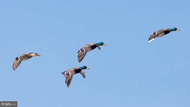 29031 HOWELL POINT RD, Trappe, MD 21673