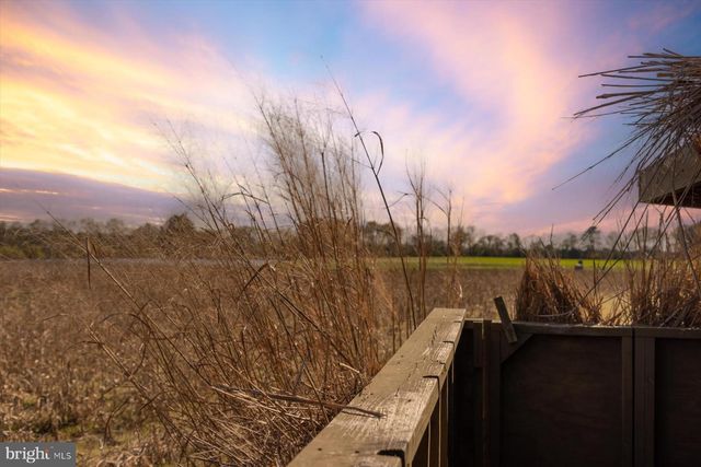 29031 HOWELL POINT RD, Trappe, MD 21673