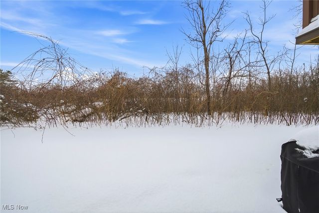 135 Grass Court, Painesville Twp, OH 44077