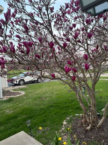 4407 Klatt Street, Plano, IL 60545