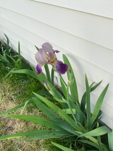 4407 Klatt Street, Plano, IL 60545