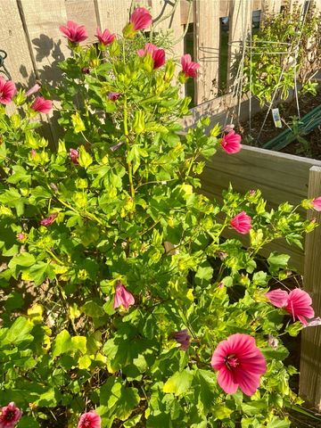 4407 Klatt Street, Plano, IL 60545