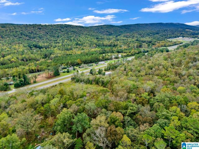 00 HIGHWAY 75, Remlap, AL 35133