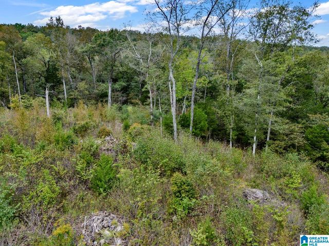 00 HIGHWAY 75, Remlap, AL 35133