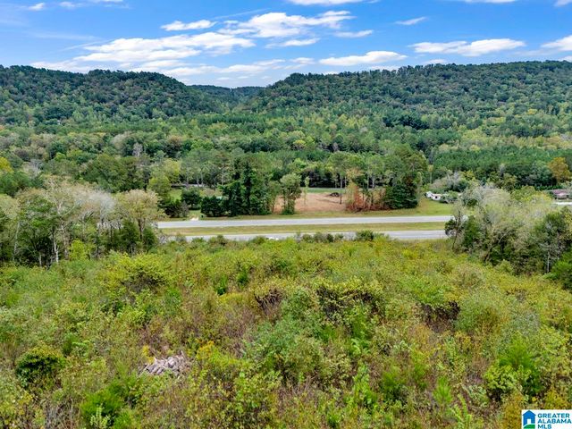 00 HIGHWAY 75, Remlap, AL 35133