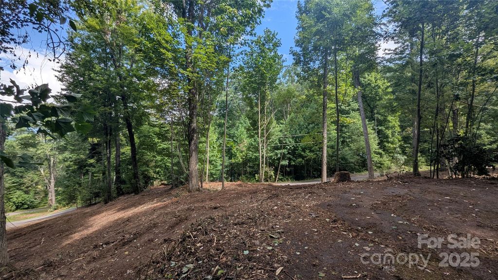 00 Chestnut Walk Drive 1, Waynesville, NC 28786