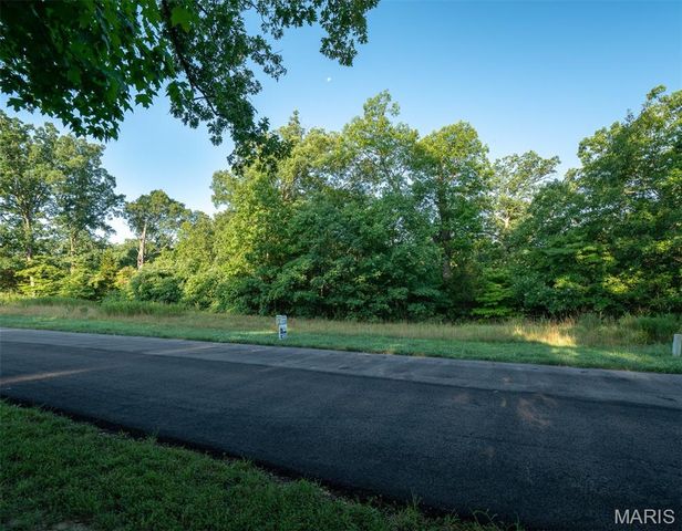 31 TBB Grand Meridien Court, Wildwood, MO 63005