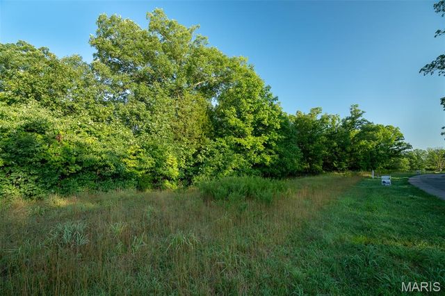 31 TBB Grand Meridien Court, Wildwood, MO 63005