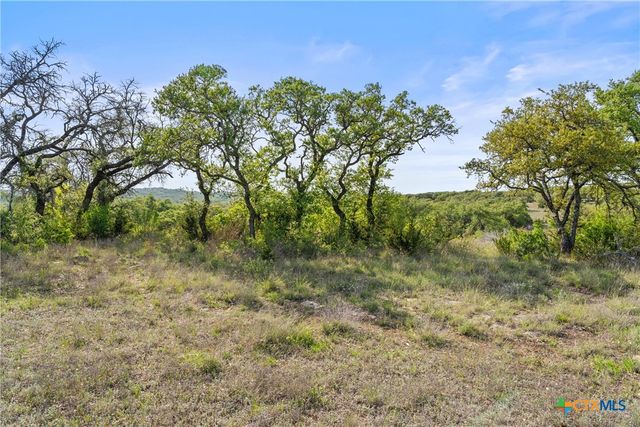 0 Hwy 290, Johnson City, TX 78636