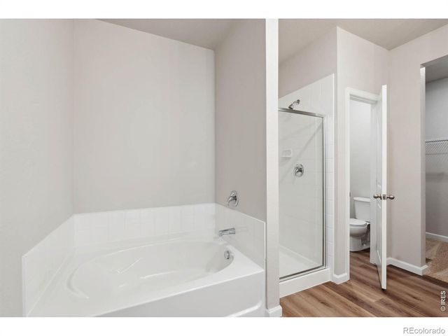 968 Cascade Falls Street, Severance, CO 80550