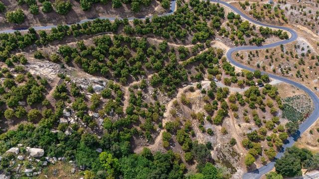 30591 LUIS REY HEIGHTS RD, Bonsall, CA 92003