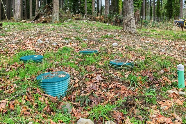 12120 S Clear Lake Road E, Eatonville, WA 98328