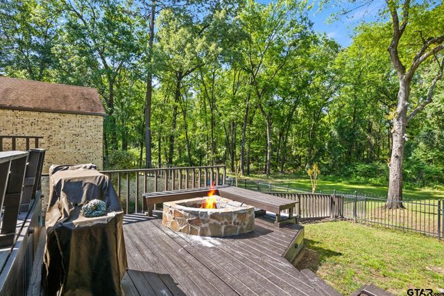 124 CR 4164, Pittsburg, TX 75686