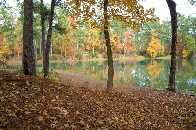 13 Robin Hood, Cleveland, TX 77327