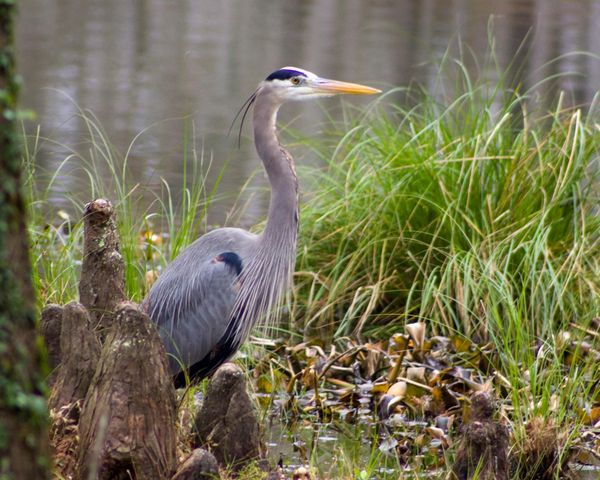 13 Robin Hood, Cleveland, TX 77327