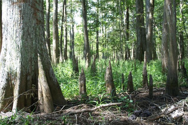 13 Robin Hood, Cleveland, TX 77327