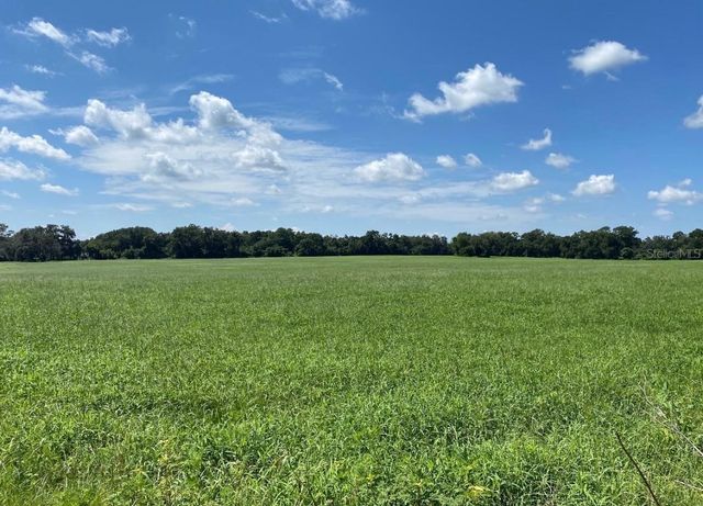 3650 NE 95TH STREET, Anthony, FL 32617