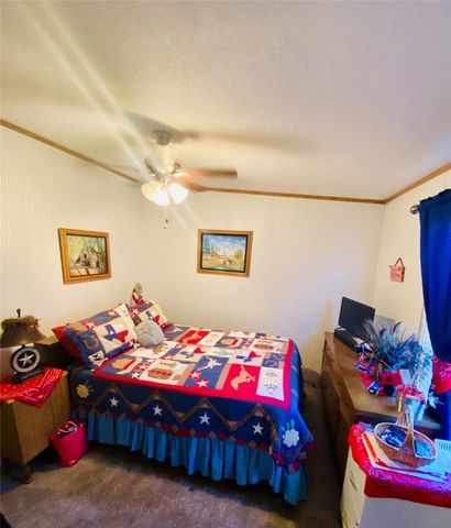 141 County Road 1288, Morgan, TX 76671