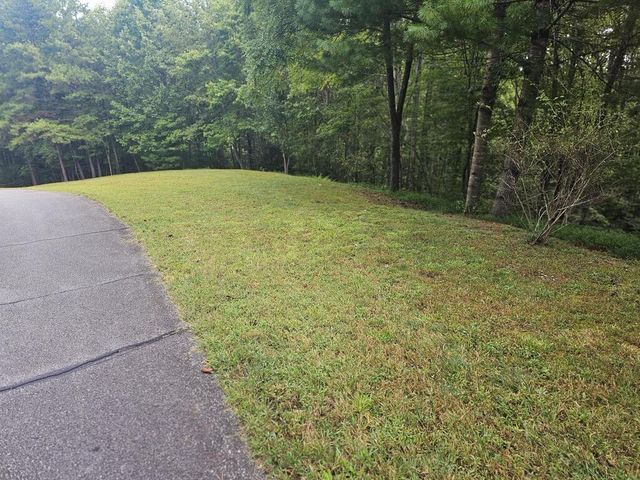0 Wildcat Drive, Murphy, NC 28906