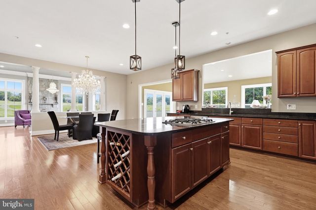 9010 DAMASCUS HILLS LN, Damascus, MD 20872
