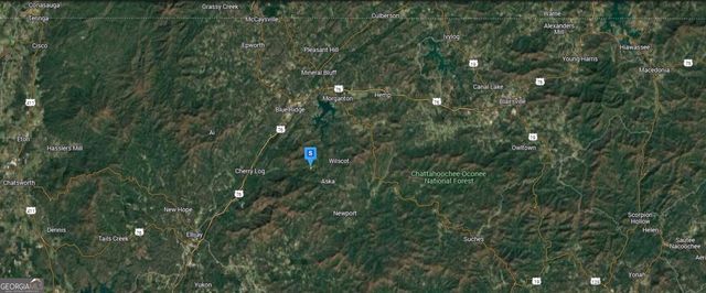 210 Geronimo Rd, Cherry Log, GA 30522