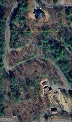 210 Geronimo Rd, Cherry Log, GA 30522