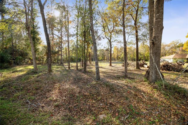 1697 O' Daniel, Conroe, TX 77301