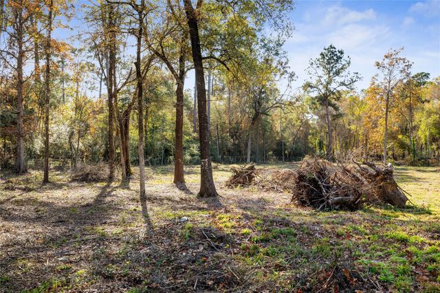 1697 O' Daniel, Conroe, TX 77301