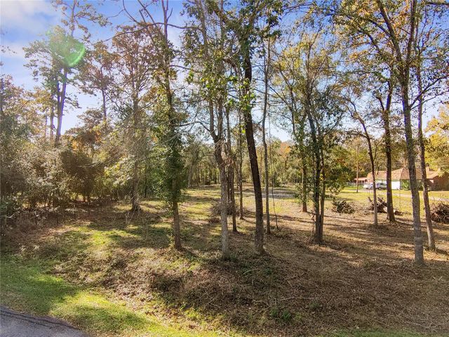 1697 O' Daniel, Conroe, TX 77301