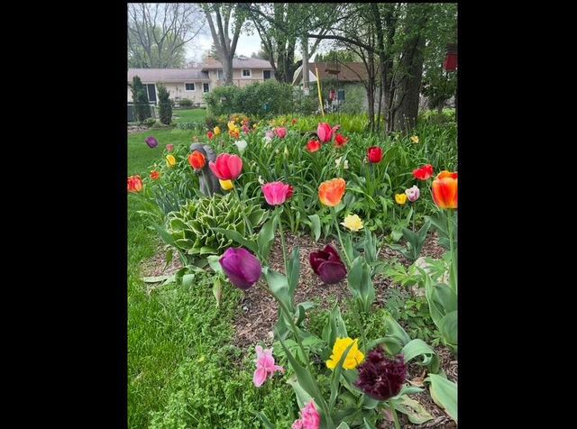 16200 Tomahawk TRAIL, Brookfield, WI 53005