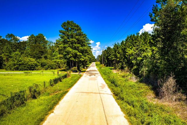 0 Duff Road, Livingston, TX 77351