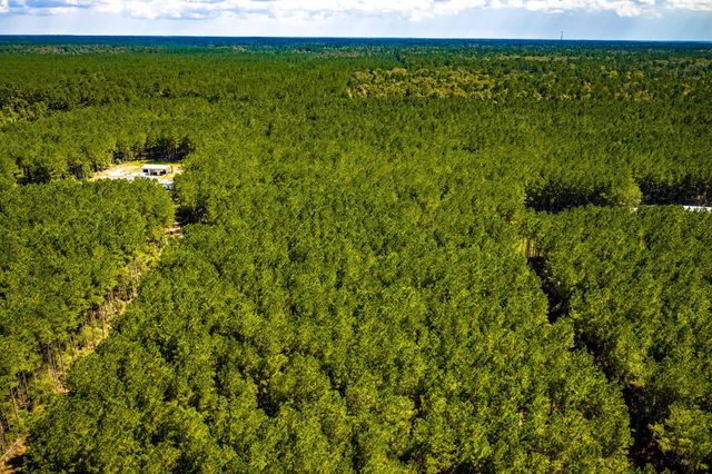 0 Duff Road, Livingston, TX 77351