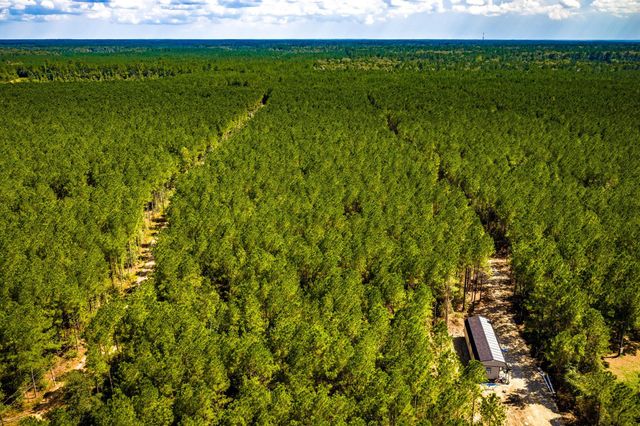 0 Duff Road, Livingston, TX 77351