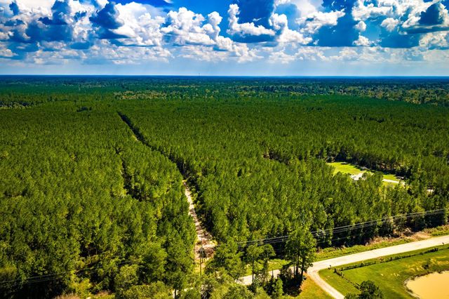 0 Duff Road, Livingston, TX 77351