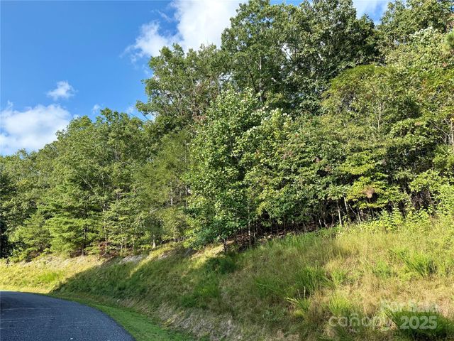 512 Wild River Run 65, Marshall, NC 28753
