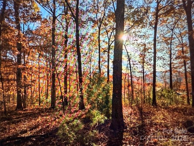 512 Wild River Run 65, Marshall, NC 28753