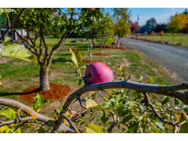 3626 Three Lakes Rd Se, Albany, OR 97322