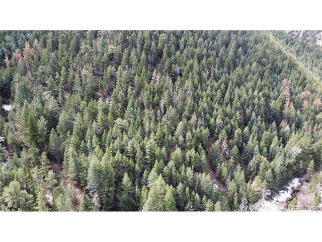 7893 Fourmile Canyon Dr, Boulder, CO 80302