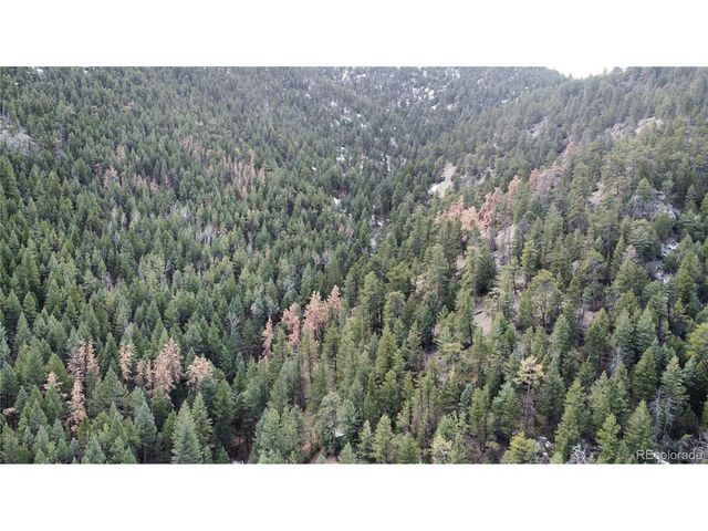 7893 Fourmile Canyon Dr, Boulder, CO 80302