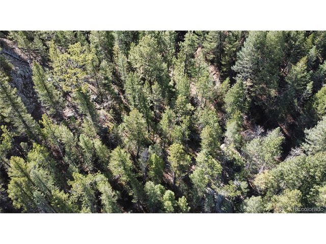 7893 Fourmile Canyon Dr, Boulder, CO 80302