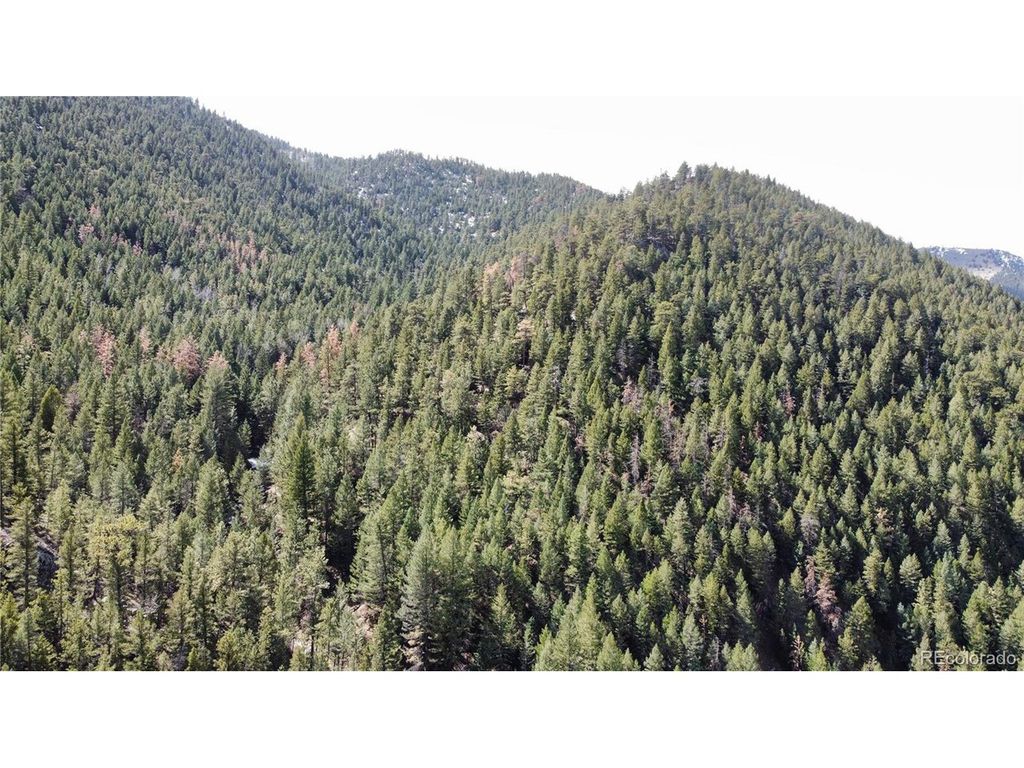 7893 Fourmile Canyon Dr, Boulder, CO 80302