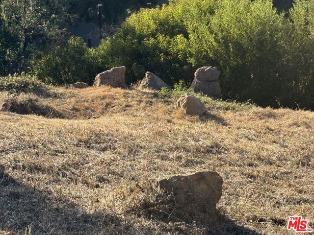 0 Medley Lane, Topanga (los Angeles), CA 90290