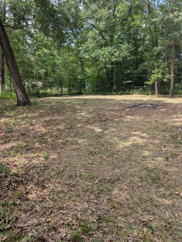 211 Panther Lane, Livingston, TX 77351