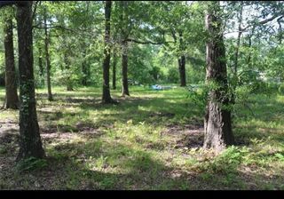 211 Panther Lane, Livingston, TX 77351